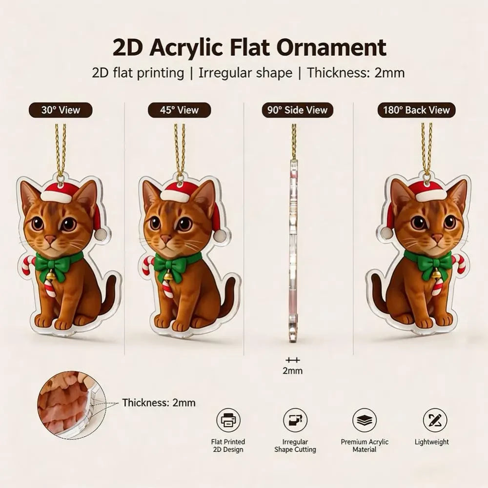 Katten Kerst Adventskalender 2026